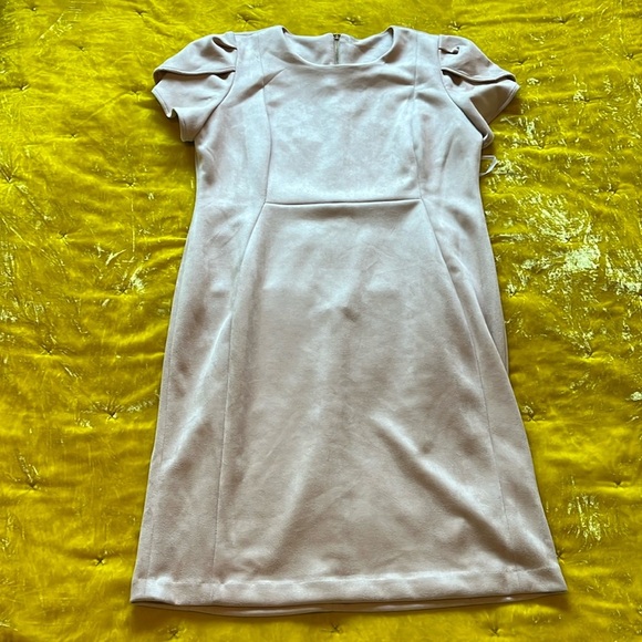 Calvin Klein Suede Like Blush Pink Dress with Sleeves NWOT - Picture 4 of 17